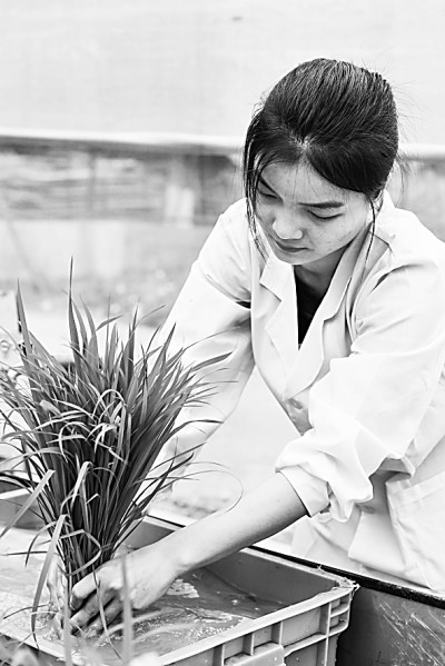 “十八连丰”背后的科技底气