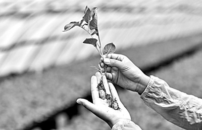 “十八连丰”背后的科技底气