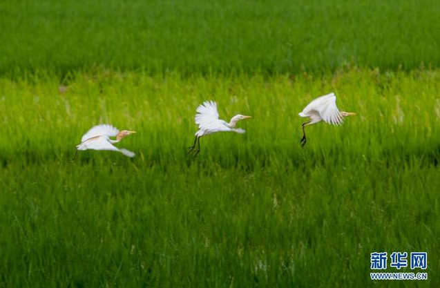 微信截图_20220117182816.png