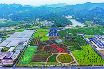 促进共同富裕首先要靠共同奋斗