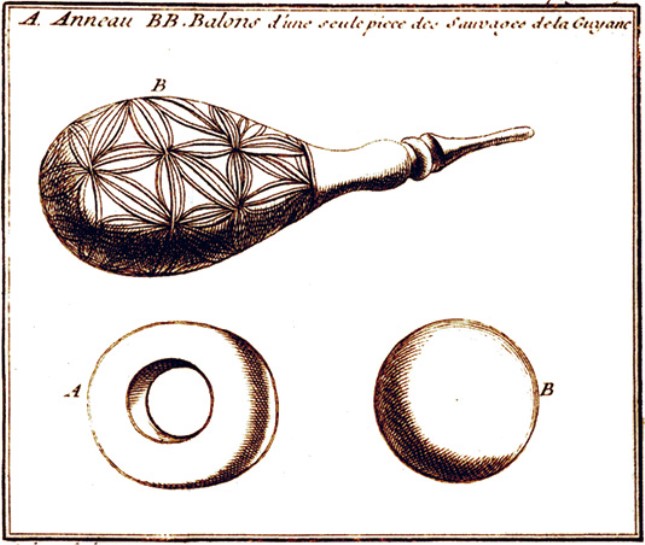 用产自圭亚那的天然物质制成的有弹性的梨形灌注器、橡皮圈和橡皮球?巴雷尔，1743年.jpg