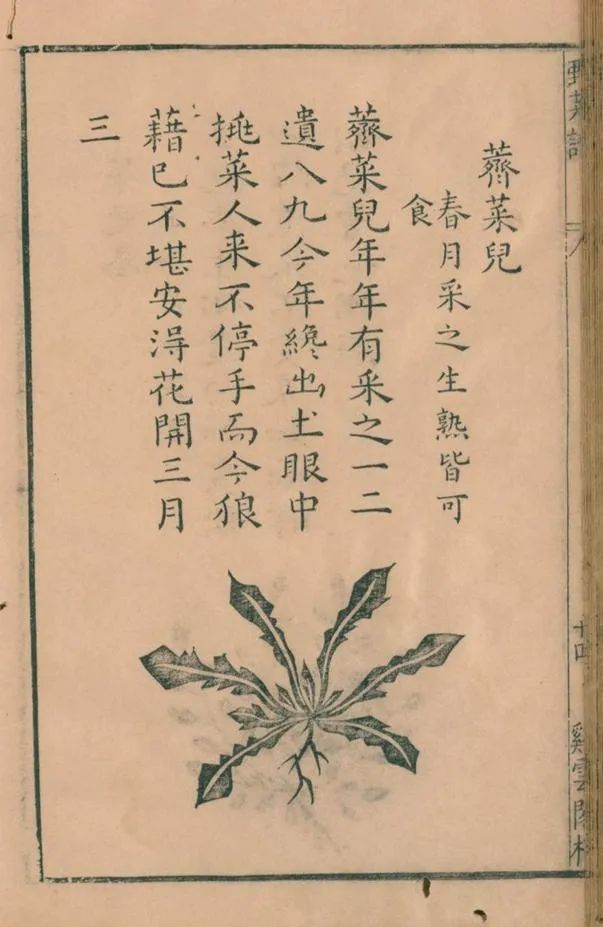 野菜3.jpg