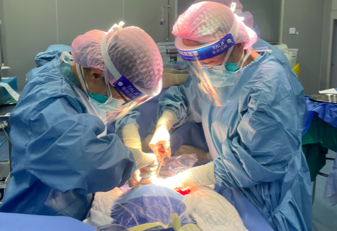 屏幕快照 2022-03-16 下午6.02.38.png