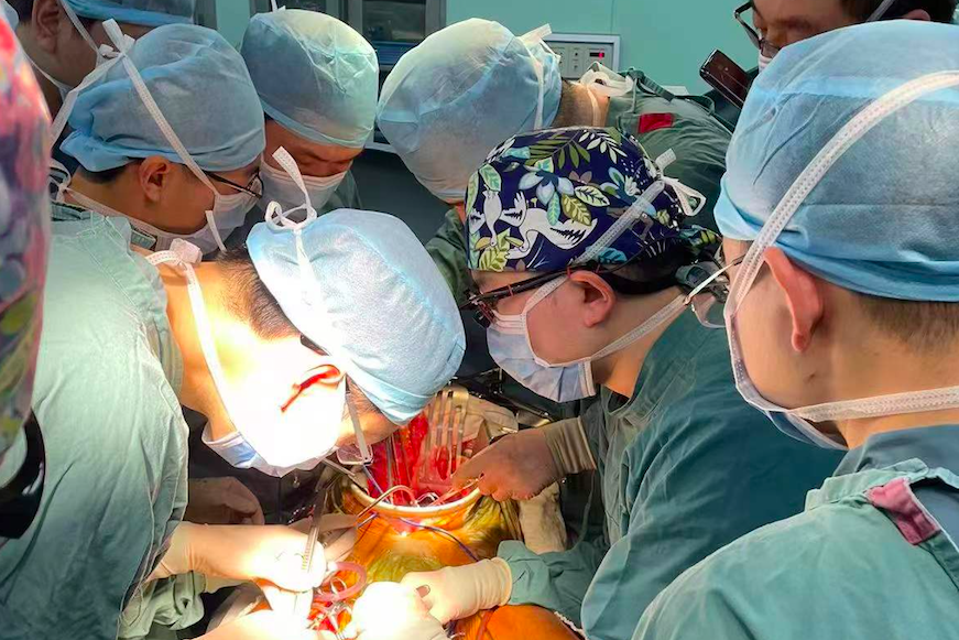 屏幕快照 2022-03-17 下午3.06.22.png