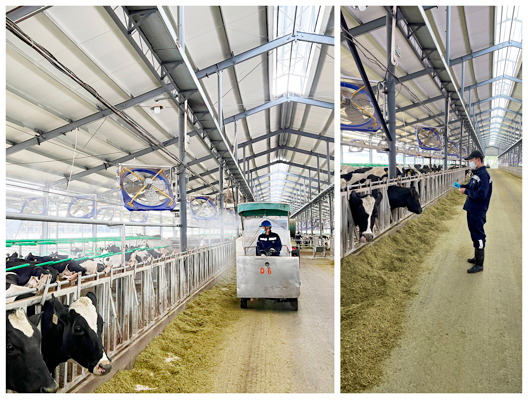 屏幕快照 2022-03-23 下午7.01.34.png