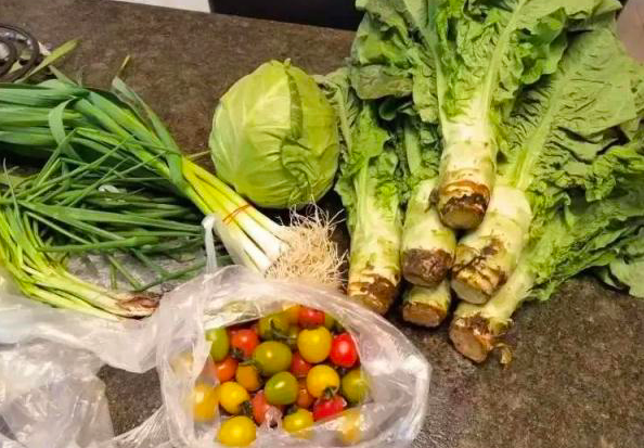 屏幕快照 2022-04-16 下午4.38.53.png