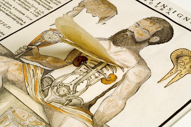 这是1573年的人体解剖立体页，这幅图的每一层都可以被掀起，从而展示出主体腔内的不同部分，使读者一目了然。图中男子的相貌与维萨里本人酷似.jpg