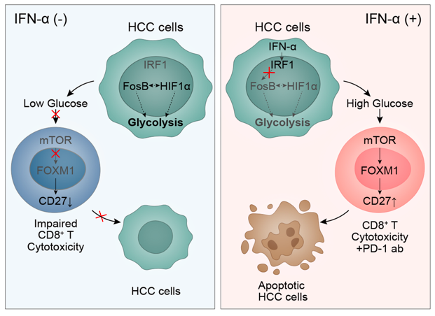 屏幕快照 2022-04-19 下午7.45.53.png