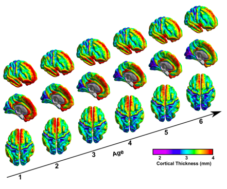 屏幕快照 2022-04-20 下午1.34.37.png