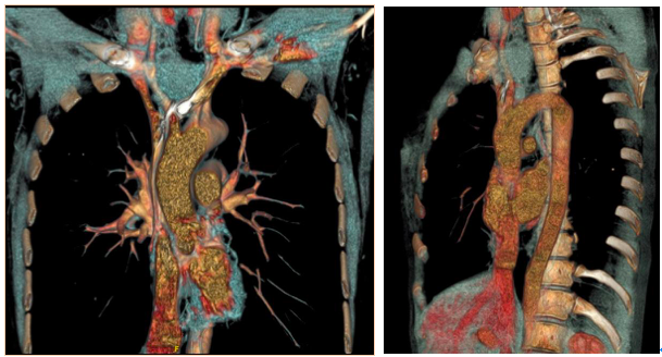 屏幕快照 2022-04-22 下午6.10.36.png