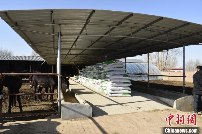 【十年@每一个奋斗的你】内蒙古“驴倌”夫妻:“骑”着毛驴奔向小康