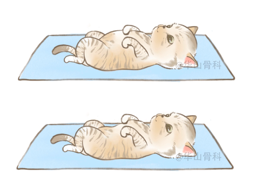 屏幕快照 2022-04-29 下午2.35.44.png