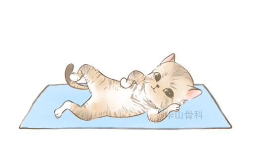 屏幕快照 2022-04-29 下午2.36.11.png