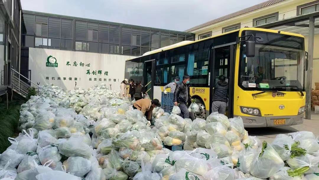 多措并举，抢种扩种！上海保障蔬菜从“田间”到“餐桌”