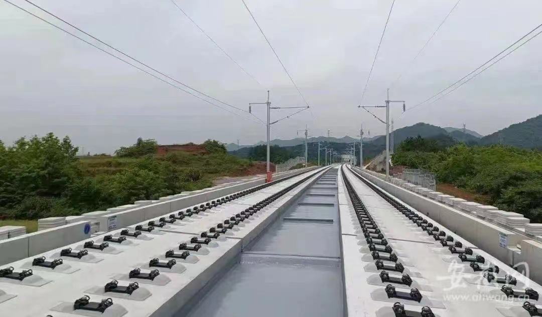 556615729.jpg