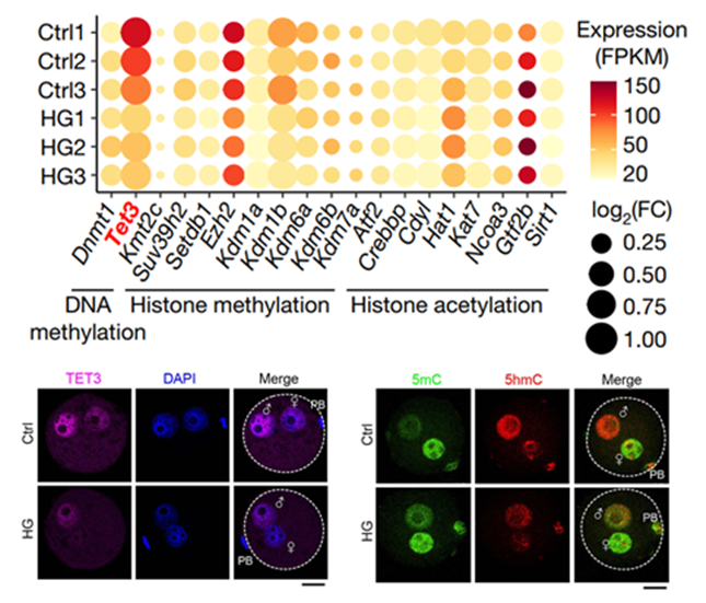 内 文章图_副本.png