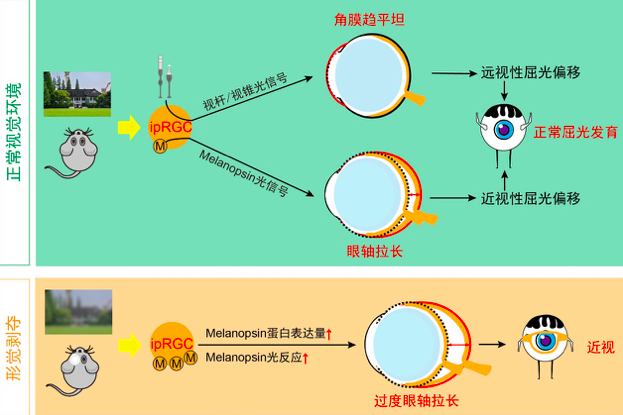 屏幕快照 2022-06-09 下午4.34.37.png