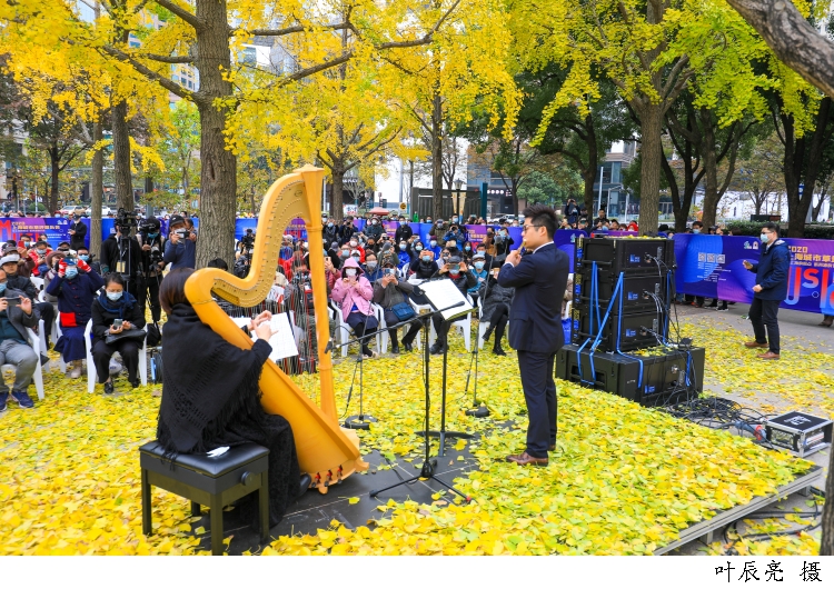 银杏树下黄叶铺成金色地毯，在竖琴、长笛和抒情花腔女高音的温暖和声中，上海最美的冬日序曲如约响起，银杏音乐会再度与观众见面。.jpg