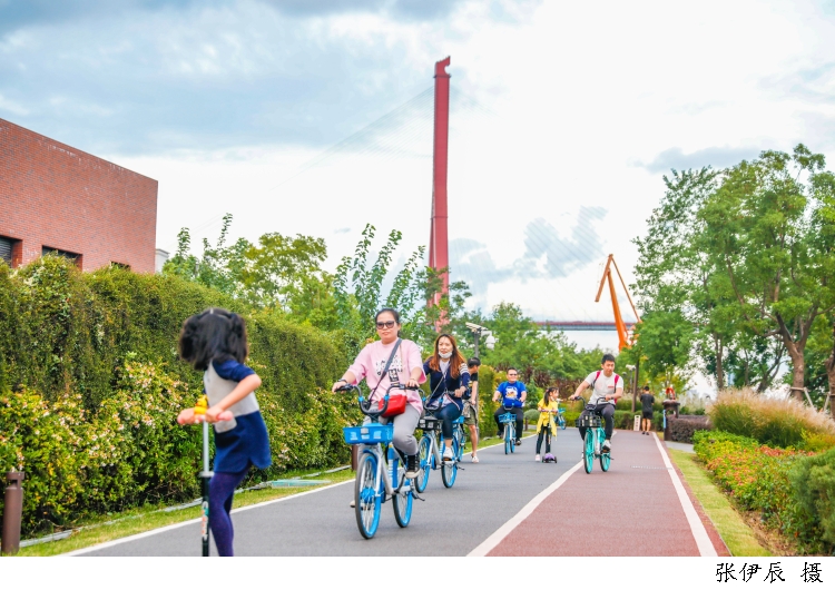 杨浦滨江，市民正在健身步道旁骑着自行车，.jpg