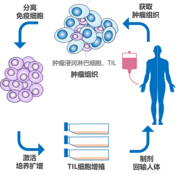 微信图片_20220822145806.png