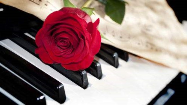 钢琴玫瑰.jpg