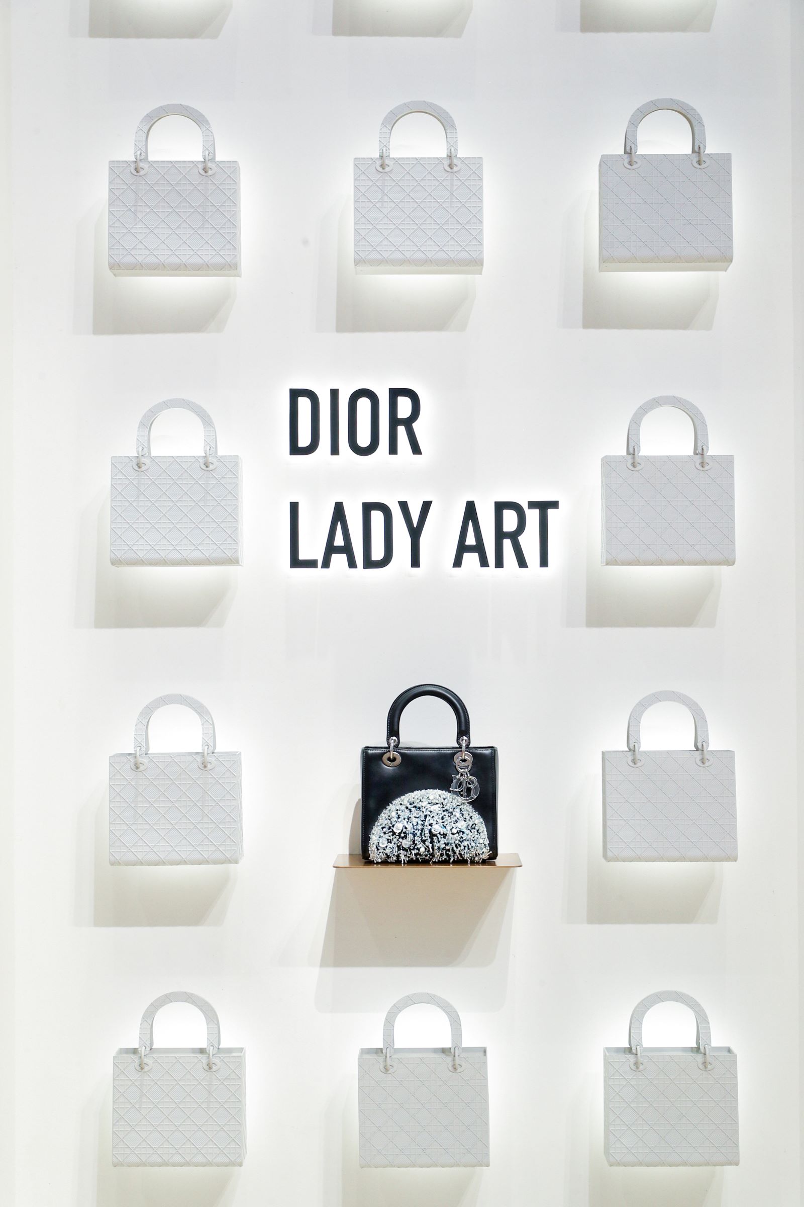 “DIOR LADY ART #7”艺术家限量合作系列，王郁洋合作款手袋(1)-.jpg