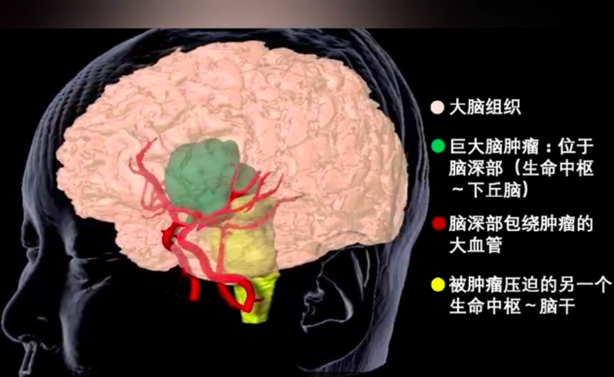 屏幕快照 2023-03-13 上午9.14.25.png