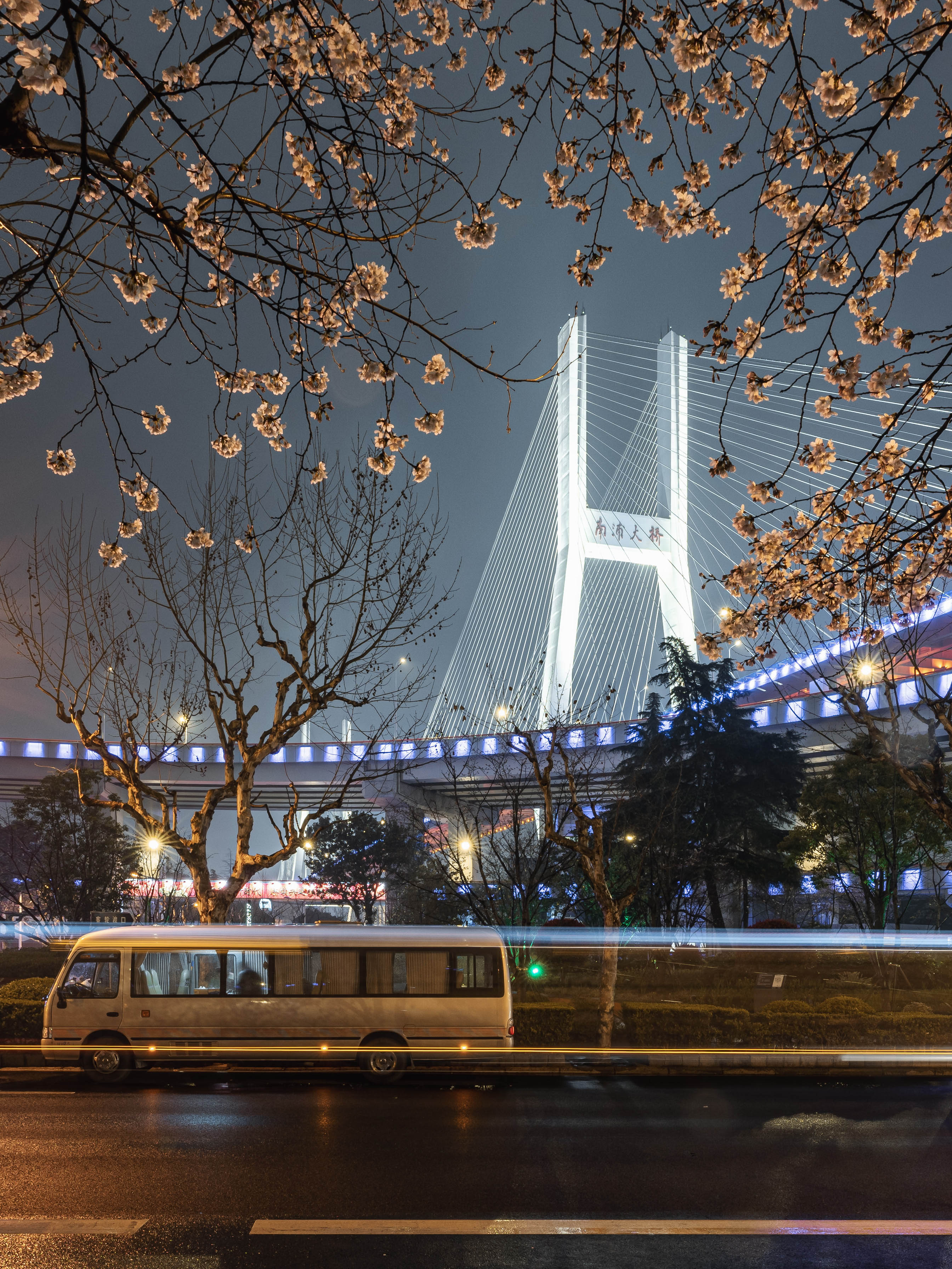 上海-南浦大桥-夜樱竖构图2023.jpg