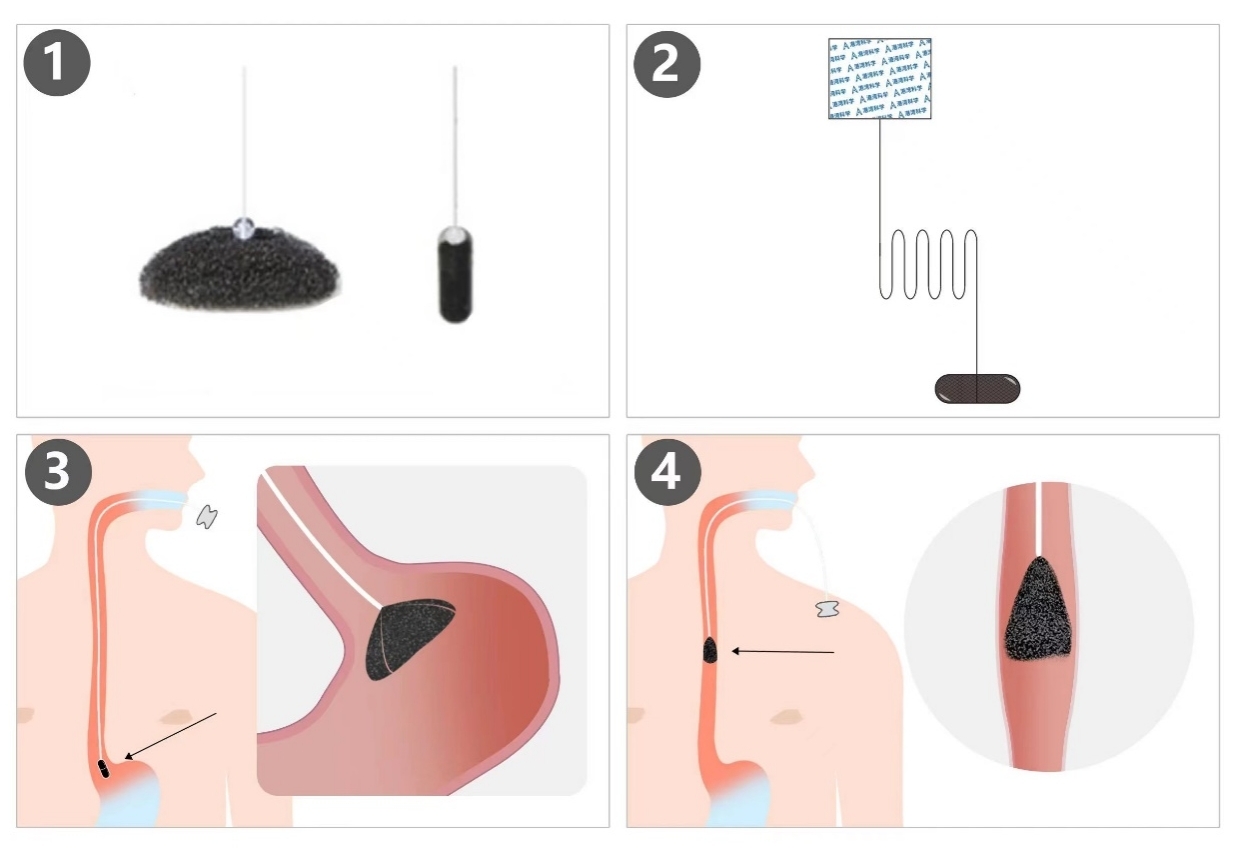 图片1.jpg 图片1.jpg