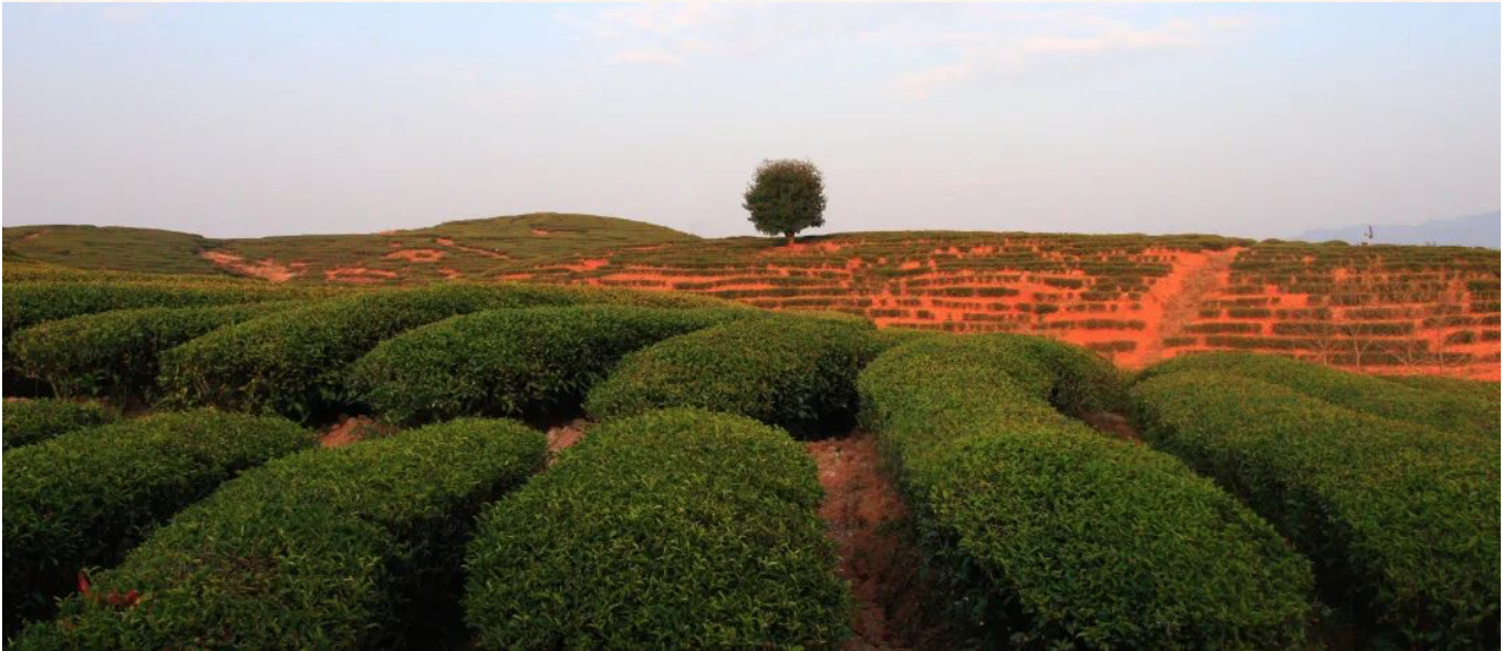 屏幕快照 2023-07-01 00.22.02.png