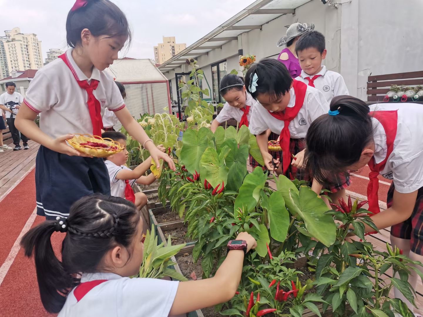 “亲瓶菜园”项目的青少年志愿者(马保虎).jpg