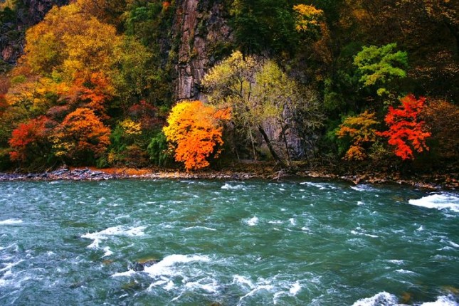 梭磨河的秋天.jpg