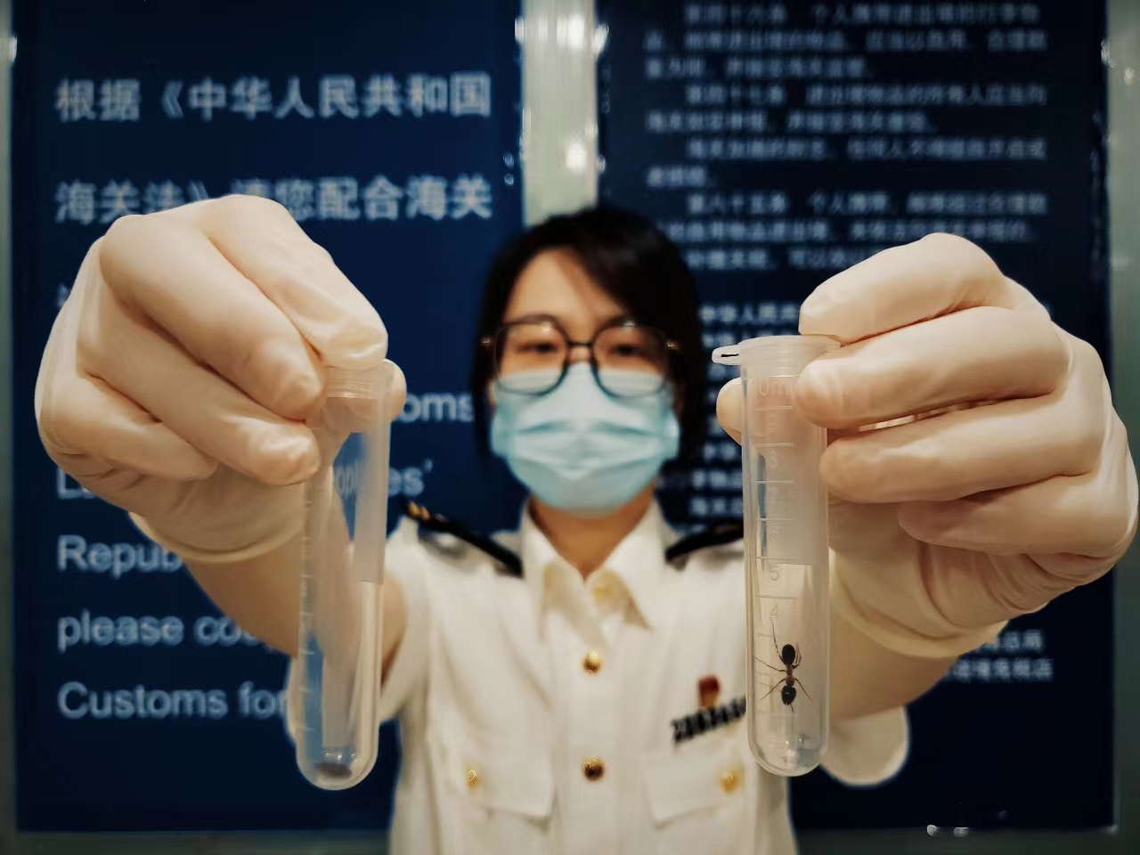 海关.jpg