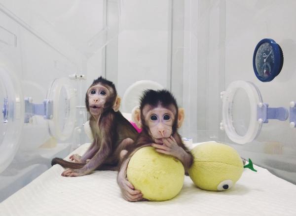 C-_W-fyqzcxi1561615.jpg C-_W-fyqzcxi1561615.jpg