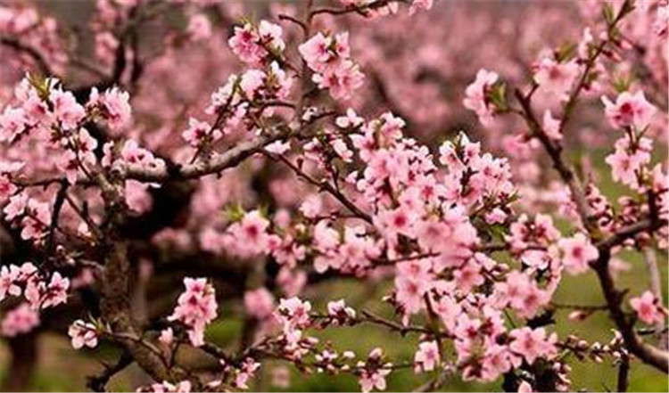 21105056s26w.jpg 21105056s26w.jpg