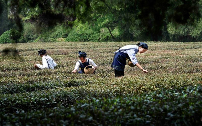 1779937855.jpg 1779937855.jpg