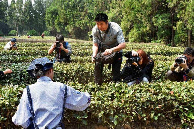 371938007.jpg 371938007.jpg