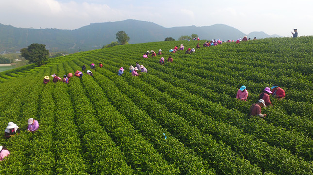 4_副本.jpg 4_副本.jpg