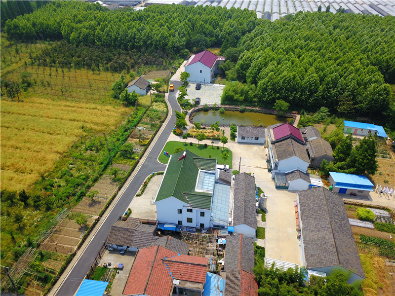 DJI_0400_副本.jpg