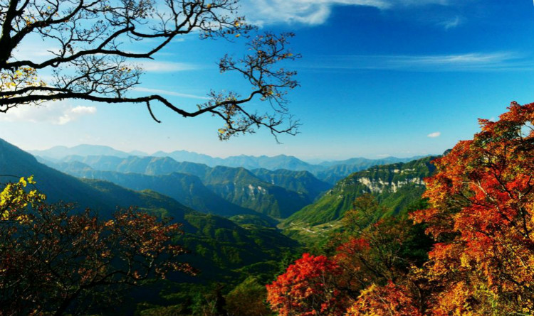 神农架_meitu_2.jpg 神农架_meitu_2.jpg