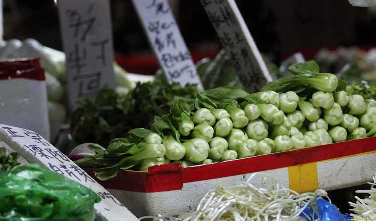 timg (3).jpg timg (3).jpg