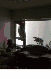 微信图片_20180917111953.gif 微信图片_20180917111953.gif