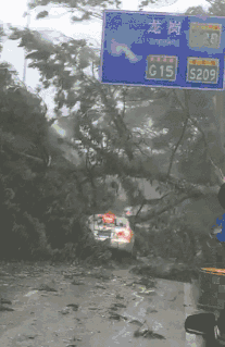 微信图片_20180917111958.gif 微信图片_20180917111958.gif