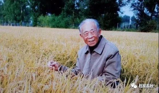 日本“水稻王”藤原长作在方正县的稻田里.jpg