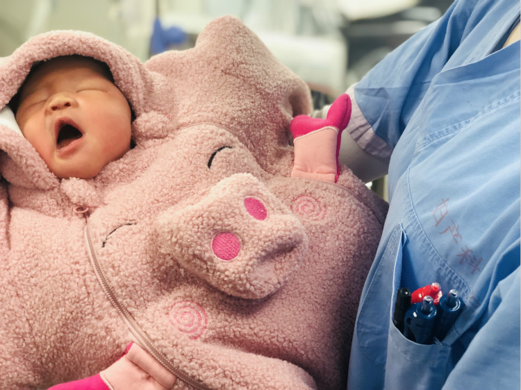 上海三大妇产科医院出生近200名猪宝宝,岁末