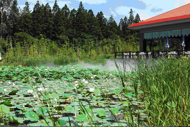 崇明东平森林公园市级重要湿地_副本.jpg 崇明东平森林公园市级重要湿地_副本.jpg