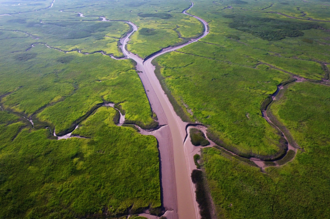 崇明东滩市级重要湿地,张斌拍摄_副本.jpg 崇明东滩市级重要湿地,张斌拍摄_副本.jpg