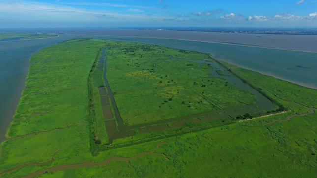 崇明青草沙水库市级重要湿地,薄顺奇拍摄_副本.jpg 崇明青草沙水库市级重要湿地,薄顺奇拍摄_副本.jpg