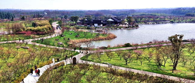 奉贤海湾森林公园市级重要湿地,郭广龄拍摄_副本.jpg 奉贤海湾森林公园市级重要湿地,郭广龄拍摄_副本.jpg