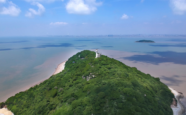 金山三岛市级重要湿地,袁晓拍摄_副本.png 金山三岛市级重要湿地,袁晓拍摄_副本.png